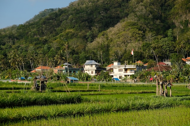 Discover the Hidden Charm of Manud Jaya Village